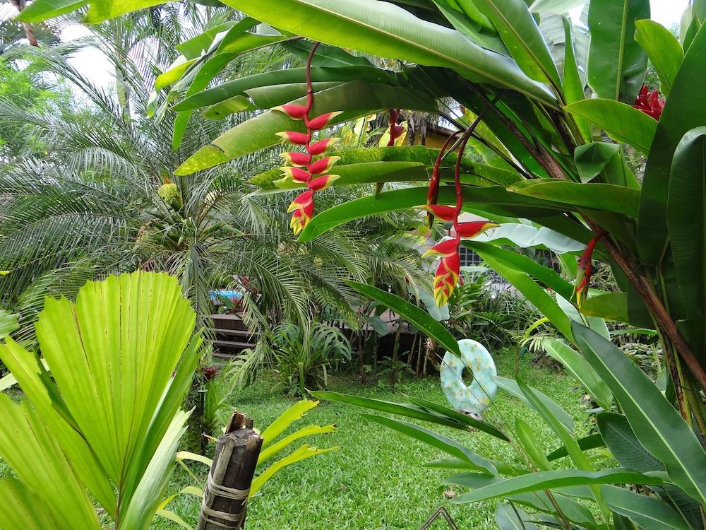 Eliconial Inn Paraty