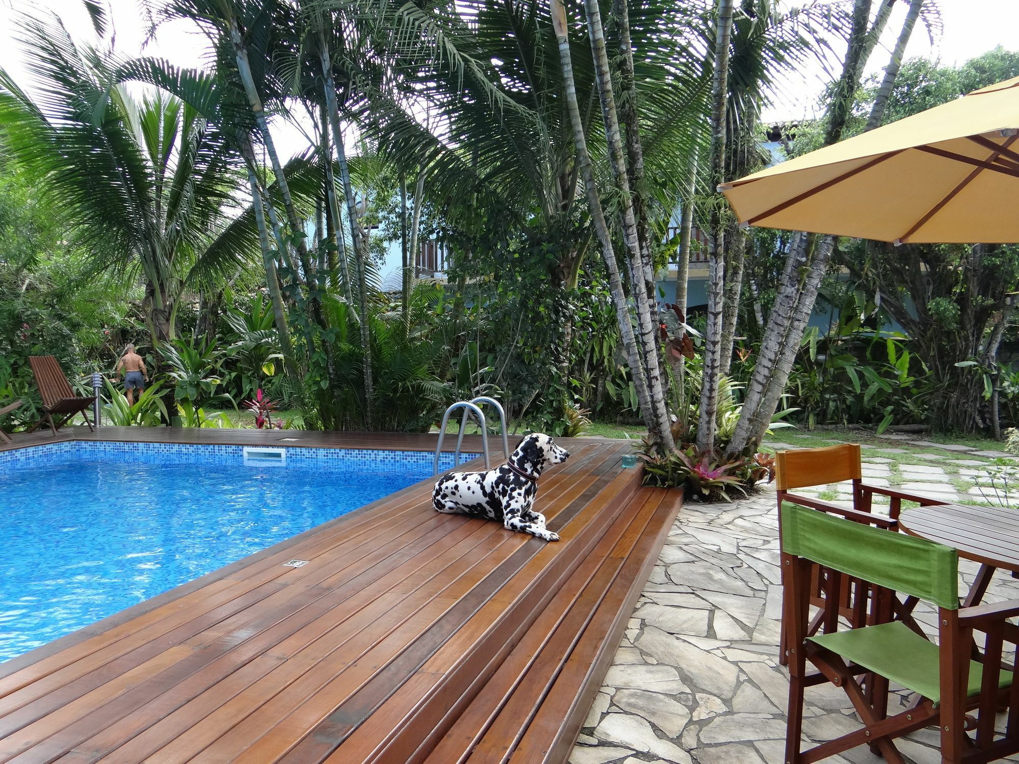 Inn Eliconial 3*